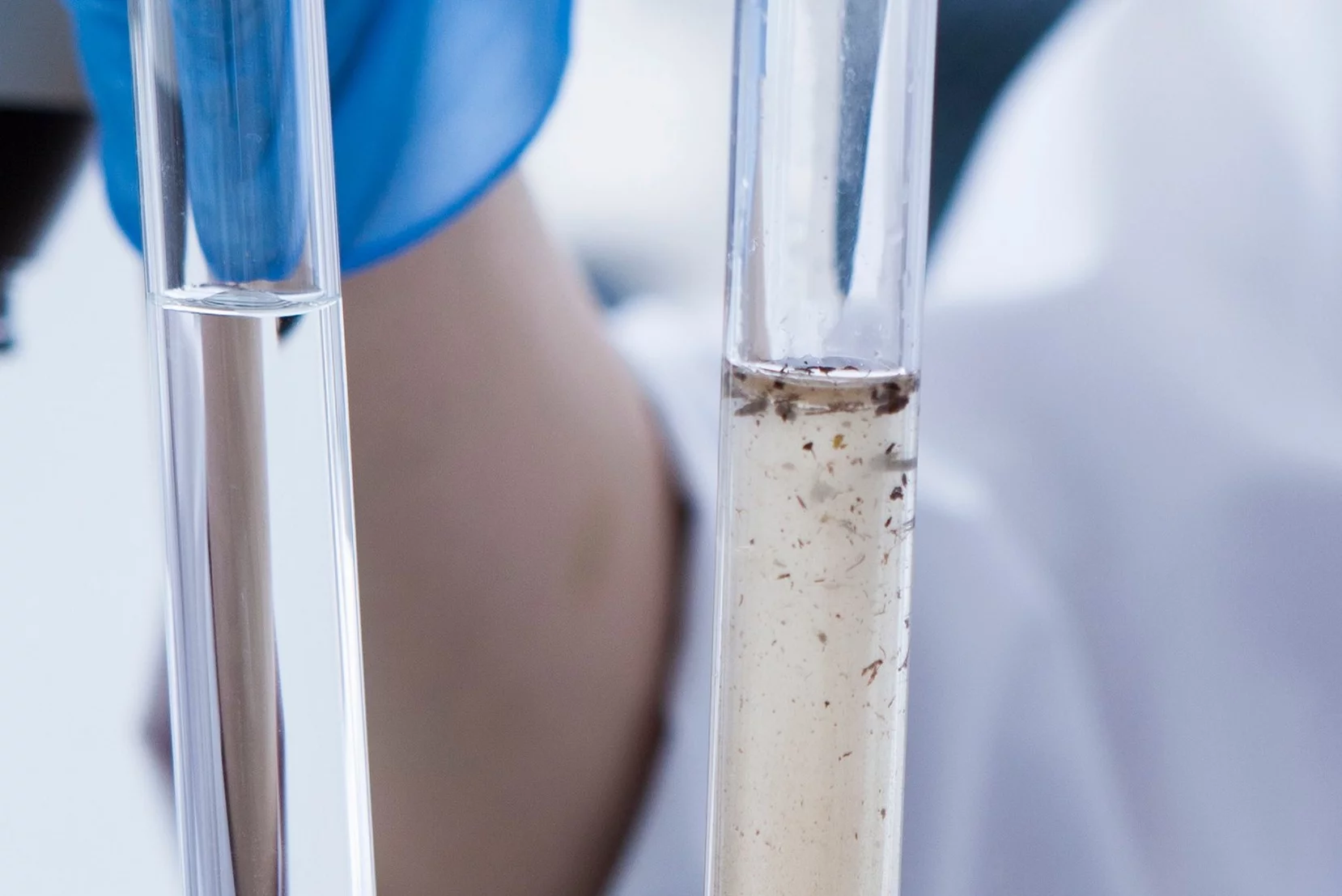 Zwei Reagenzgläsern mit Wasserproben, die miteinander verglichen werden.